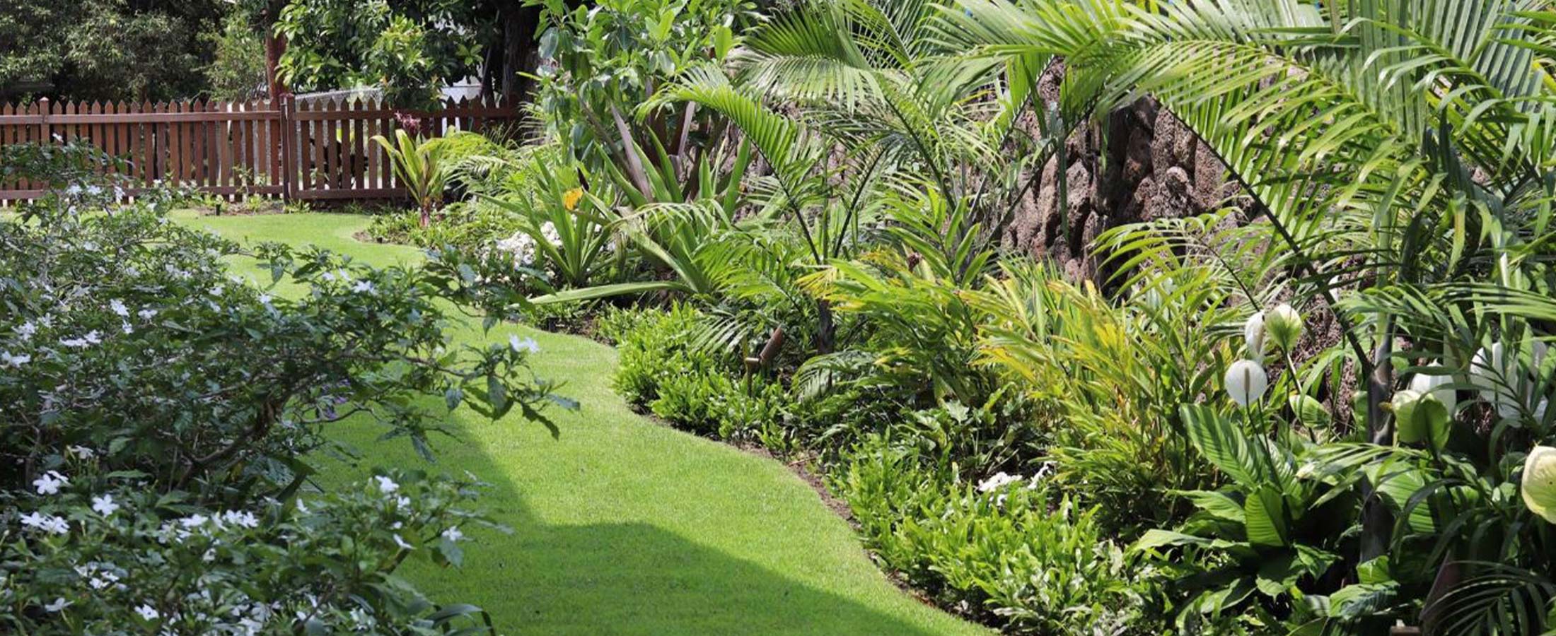 background image of beautiful Honolulu home with landscaped yard by Pacific Outdoor Living.