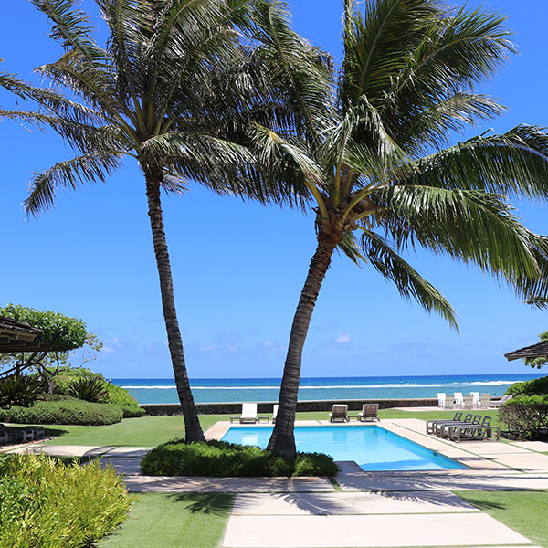 image of palm trees above pool with well-manicured lawn