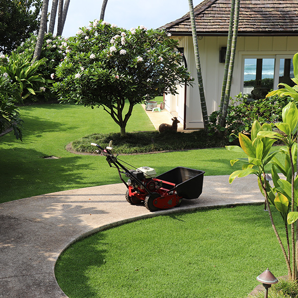 image of professional law mower in yard